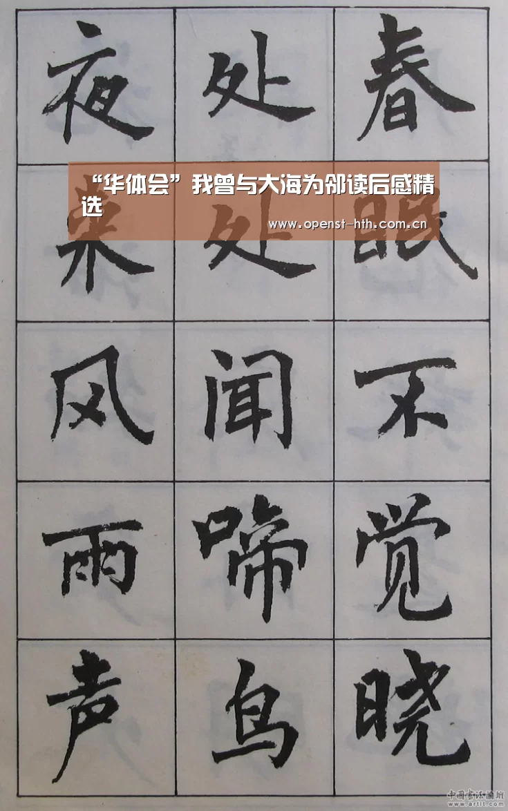 华体会官方