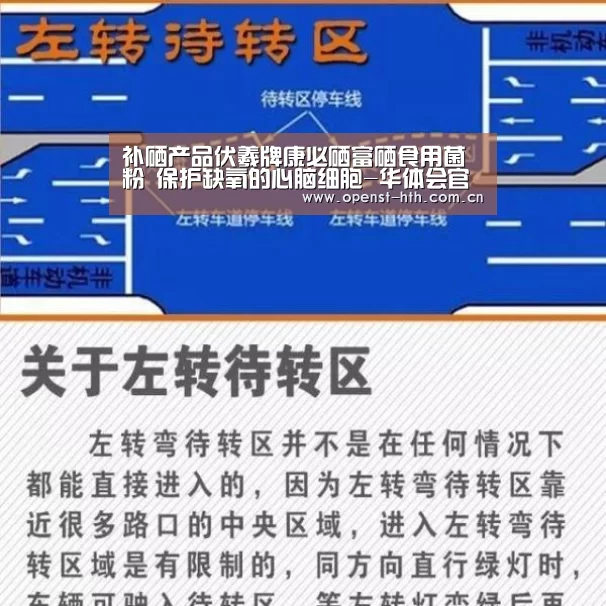 补硒产品伏羲牌康必硒富硒食用菌粉 保护缺氧的心脑细胞-华体会官方(图4) 华体会网站