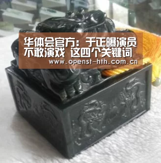 华体会官方:于正曝演员不敢演戏 这四个关键词你猜出该演员是谁了吗(图3) 华体会网站