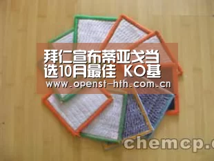 拜仁宣布蒂亚戈当选10月最佳 KO基米希莱万穆勒|华体会官方(图2) 华体会